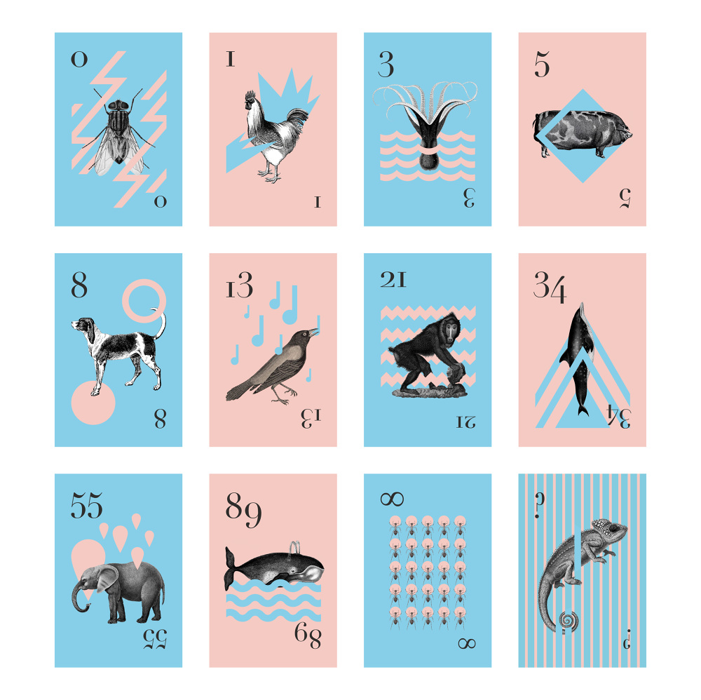 Fibonacci albavilardebo